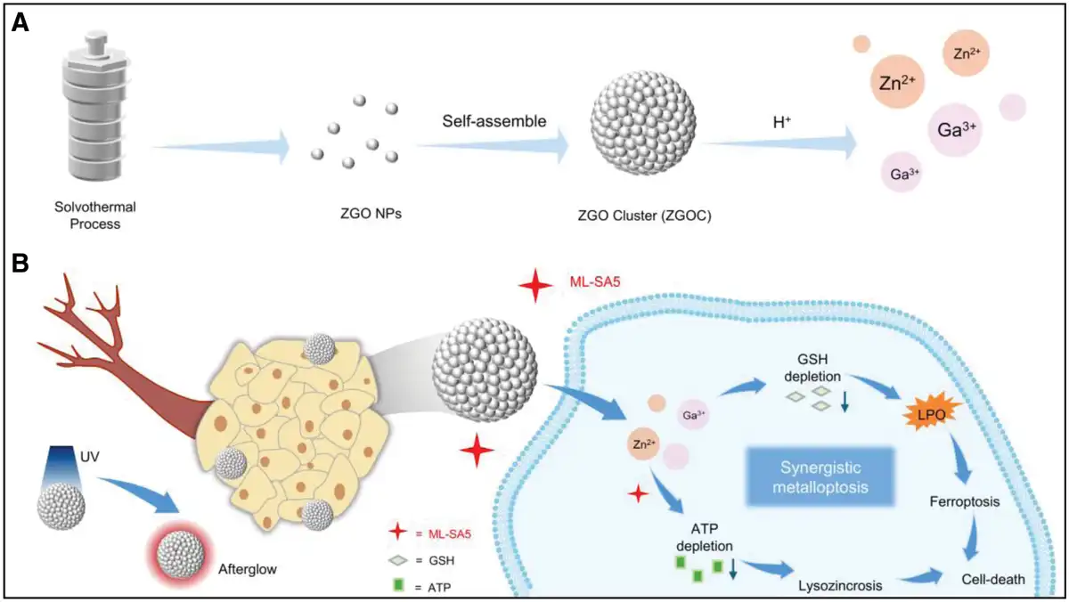 Representative figure for Zinc gallate nanoclusters-mediated enhanced metalloptosis in melanoma