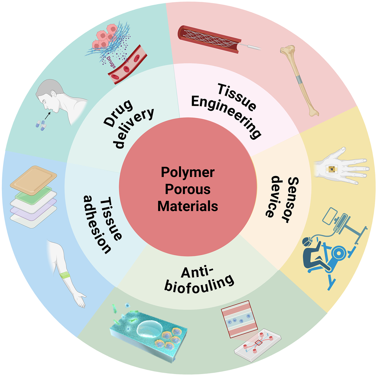 Representative figure for Biomedical applications of polymer porous materials: design, properties, and future perspectives
